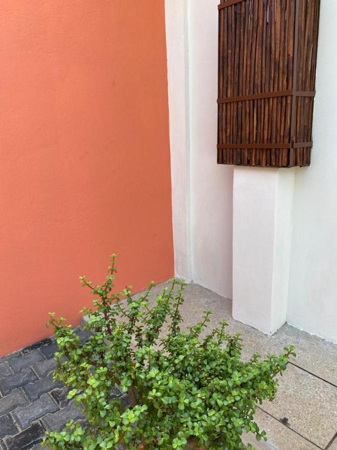 Casa Suites Minizoo プエルト・エスコンディード エクステリア 写真